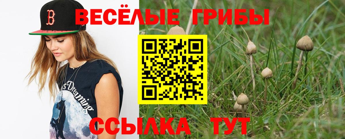 Кинель  Псилоцибиновые грибы GOLDEN TEACHER  Вход с VPN 